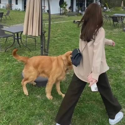 孖宝奇情